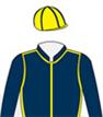 Navy blue, yellow seams & cap with navy blue seams Silk Image