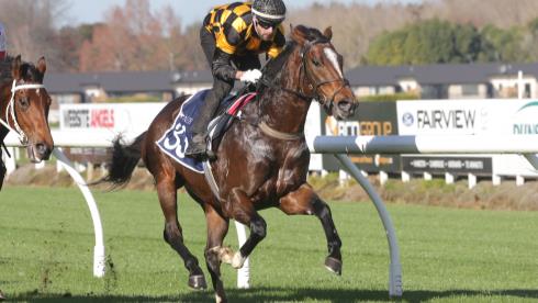 LOVERACING.NZ - New Zealand Thoroughbred Racing